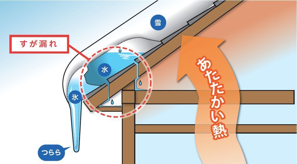 お家ドクター火災保険巣が漏れ